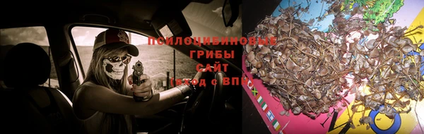 наркотики Волосово