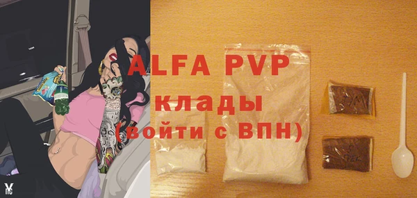 гашик Володарск