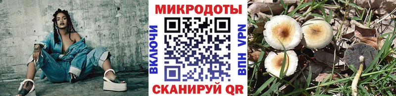 купить наркотики цена  Новочебоксарск  Псилоцибиновые грибы Cubensis 