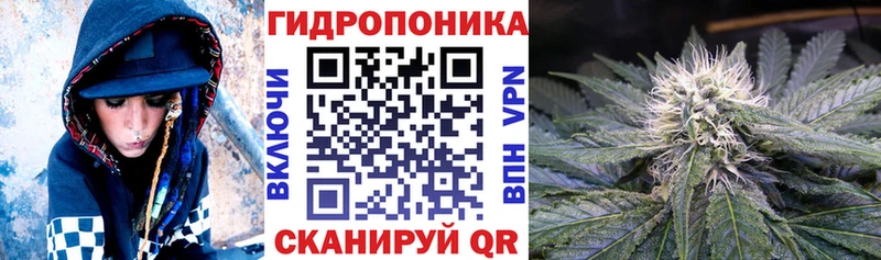 Бошки марихуана ГИДРОПОН  гидра зеркало  Новочебоксарск  где продают  